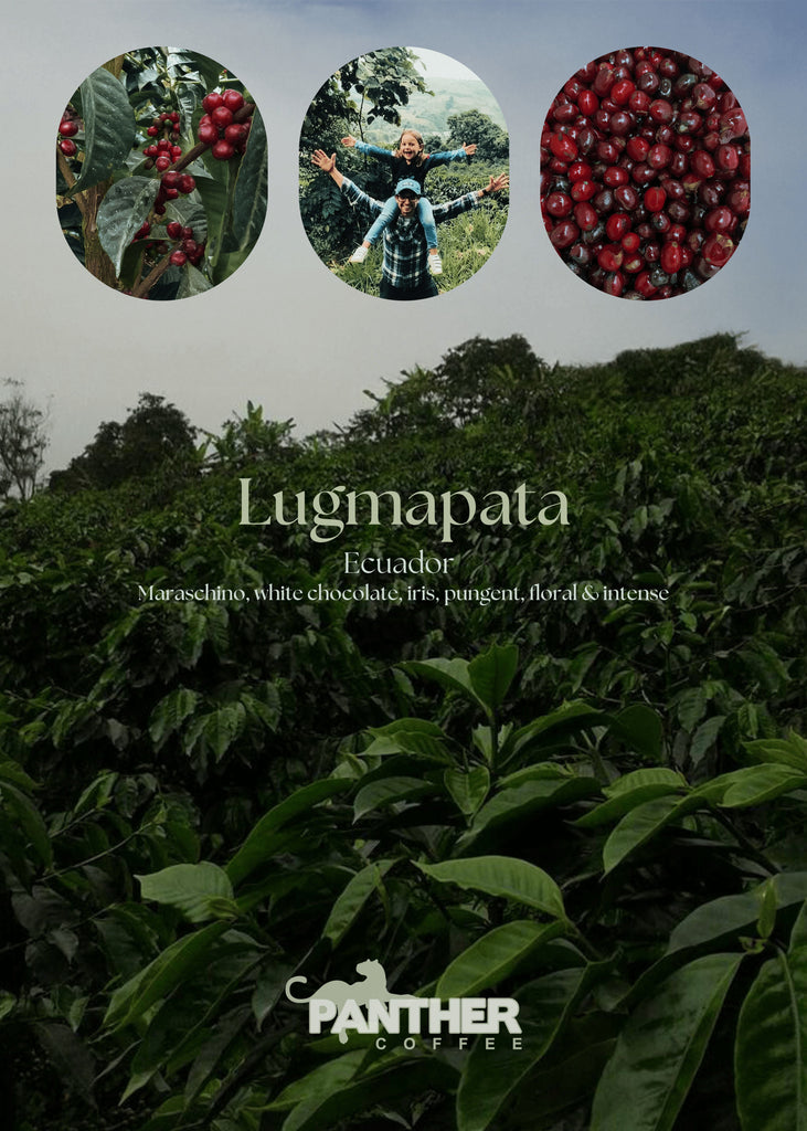 Hacienda Lugmapata - Ecuador Specialty Coffee